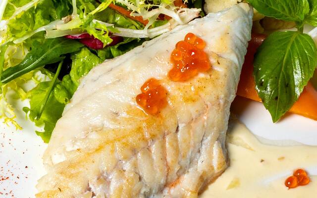 Fish